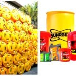Sundrex Oil Company Ltd.’s Rs. 32.25 crore SME IPO to open for subscription on December 22, 2025….