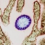 সাবধান নীপা এবার কড়া নাড়ছে….।